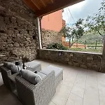 The Orange Garden