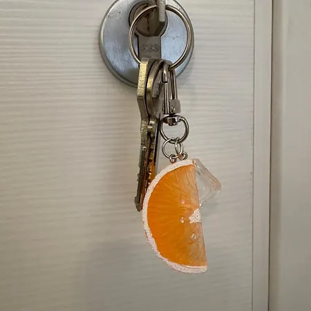 Gasthuis The Orange Garden 4*