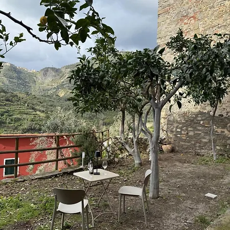 The Orange Garden Maison d'hôtes