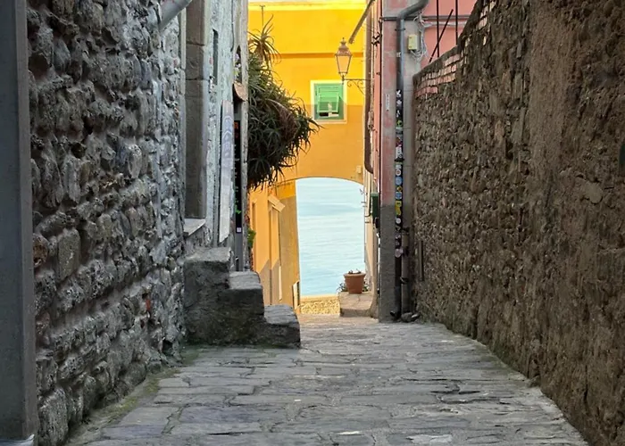 The Orange Garden 4*