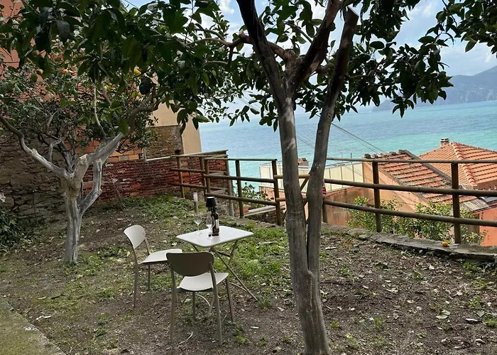 The Orange Garden Corniglia