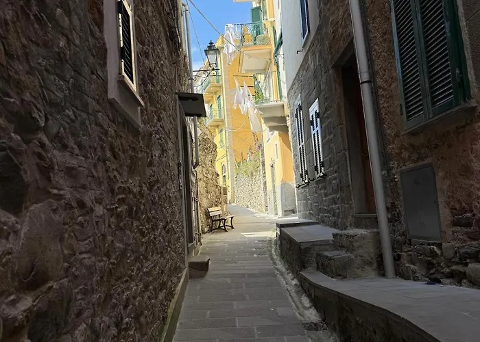 Gasthuis The Orange Garden 4*