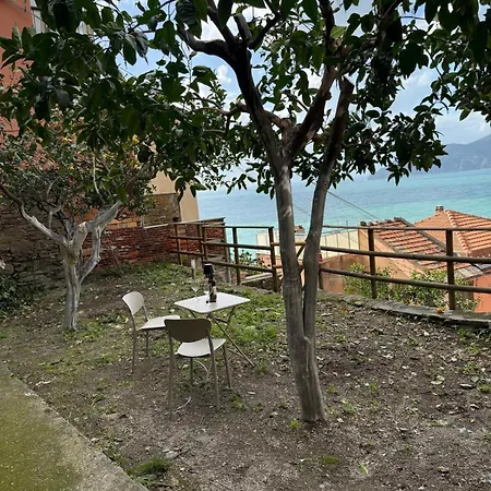The Orange Garden Corniglia