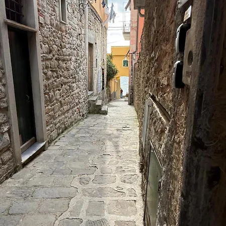 The Orange Garden Πανσιόν