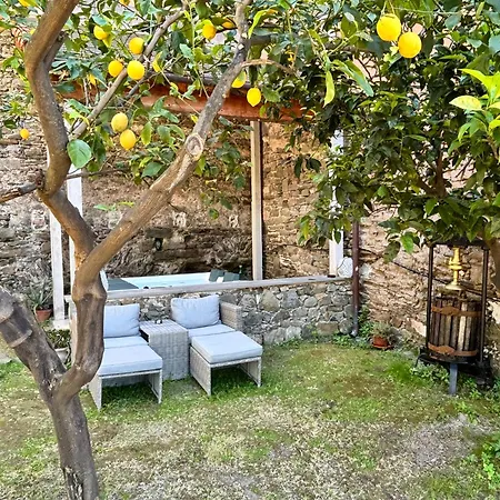 The Orange Garden Πανσιόν 3*
