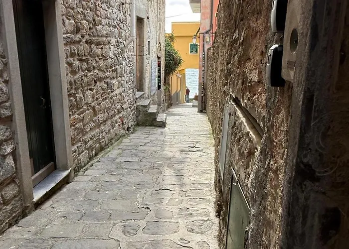 The Orange Garden Πανσιόν
